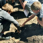 RemasterDirector_5122f8b34